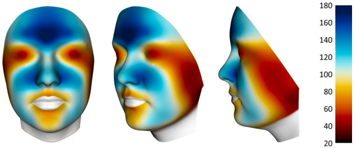 Analyse de la distribution du sébum facial.