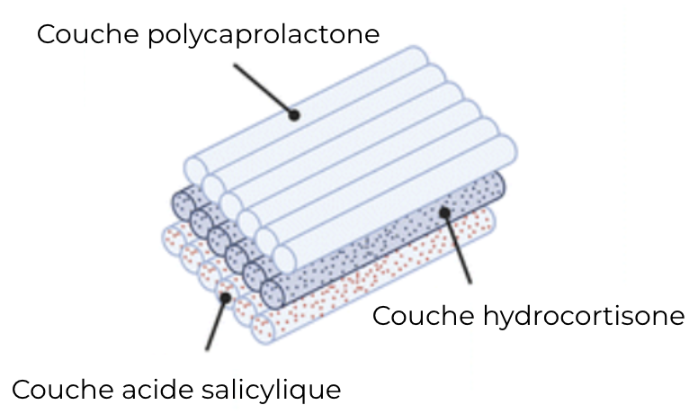 Structure schématique des différentes couches de nanofibres du patch.