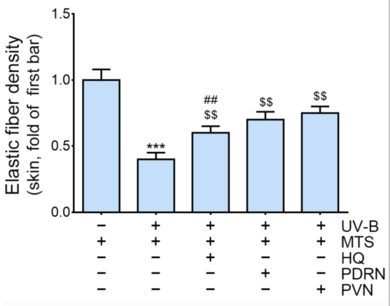 Effets de la vitamine C sur la synthèse d'élastine dans un modèle murin de peau irradiée (HQ = hydroquinone ; MTS = microneedling ; PDRN = polydeoxyribonucleotide ; PVN = polydeoxyribonucleotide + vitamine C + niacinamide).