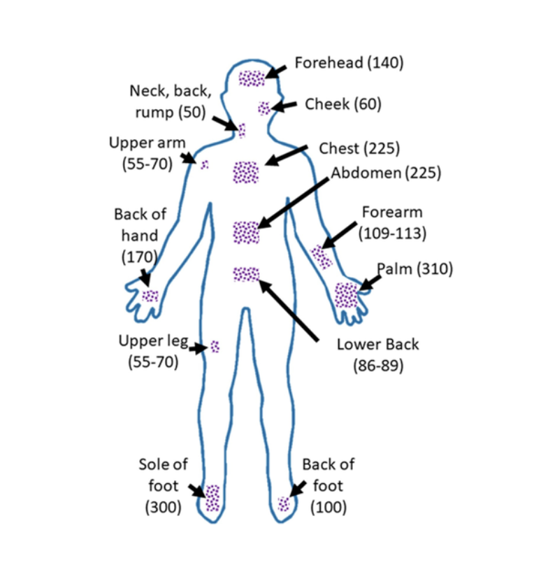 Source : PALANIAPPAN A. & al. Recent advances in two-dimensional MXene-based electrochemical biosensors for sweat analysis. Molecules (2023).