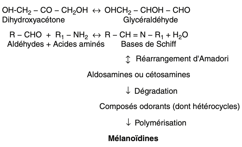 Formation des mélanoïdines.