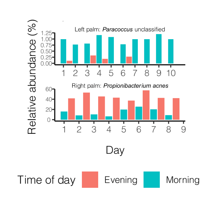 Abondances de différentes bactéries le jour et la nuit sur la paume des mains.