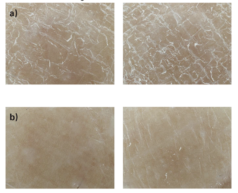 Xérose observée au microscope numérique (grossissement x100) avec (a) au début de l'étude, (b) après 21 jours, à gauche avec avoine et à droite sans avoine.