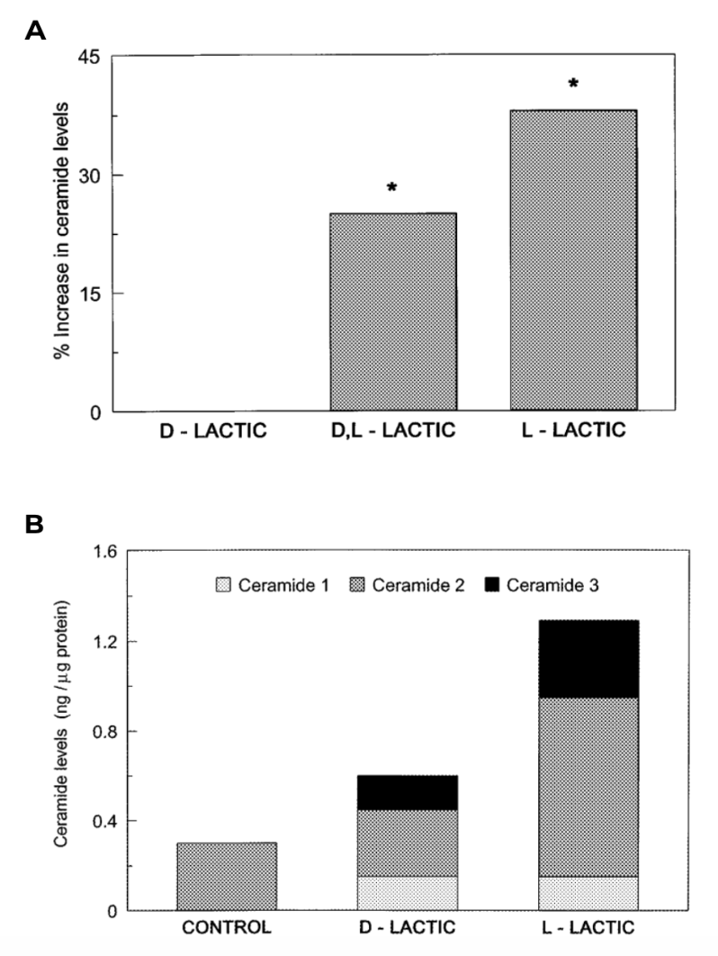 (A) Amélioration des niveaux de céramides dans la couche cornée suite à l'application d'un soin à 4% en acide L-lactique, en acide D-lactique ou en acide D,L-lactique par rapport aux peaux traitées avec le placebo et (B) Effet des acides D- et L-lactique (20 mM) sur la synthèse des céramides dans les kératinocytes humains cultivés.
