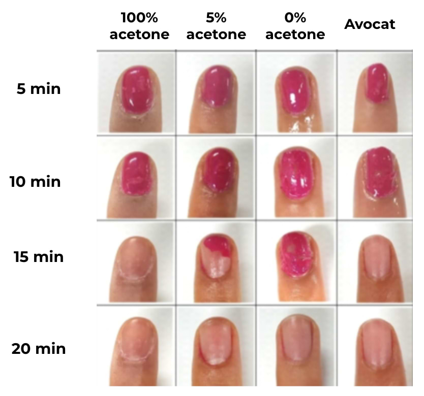 Morphologie des ongles après utilisation de dissolvants à différentes concentrations en acétone ou avec de l'huile d'avocat.