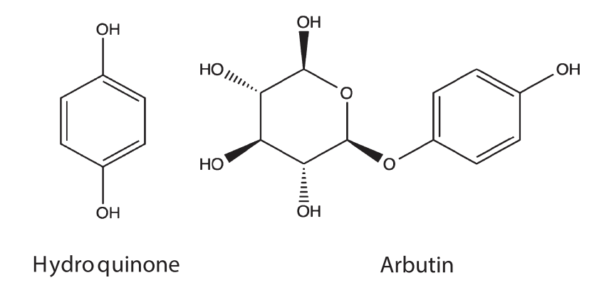 Structures chimiques de l'hydroquinone et de l'acide arbutine.