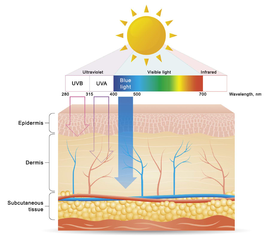Spectre du rayonnement solaire et profondeur de pénétration de la peau.