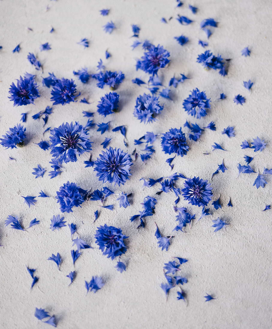 Effet hydrolat de bleuet coup de soleil