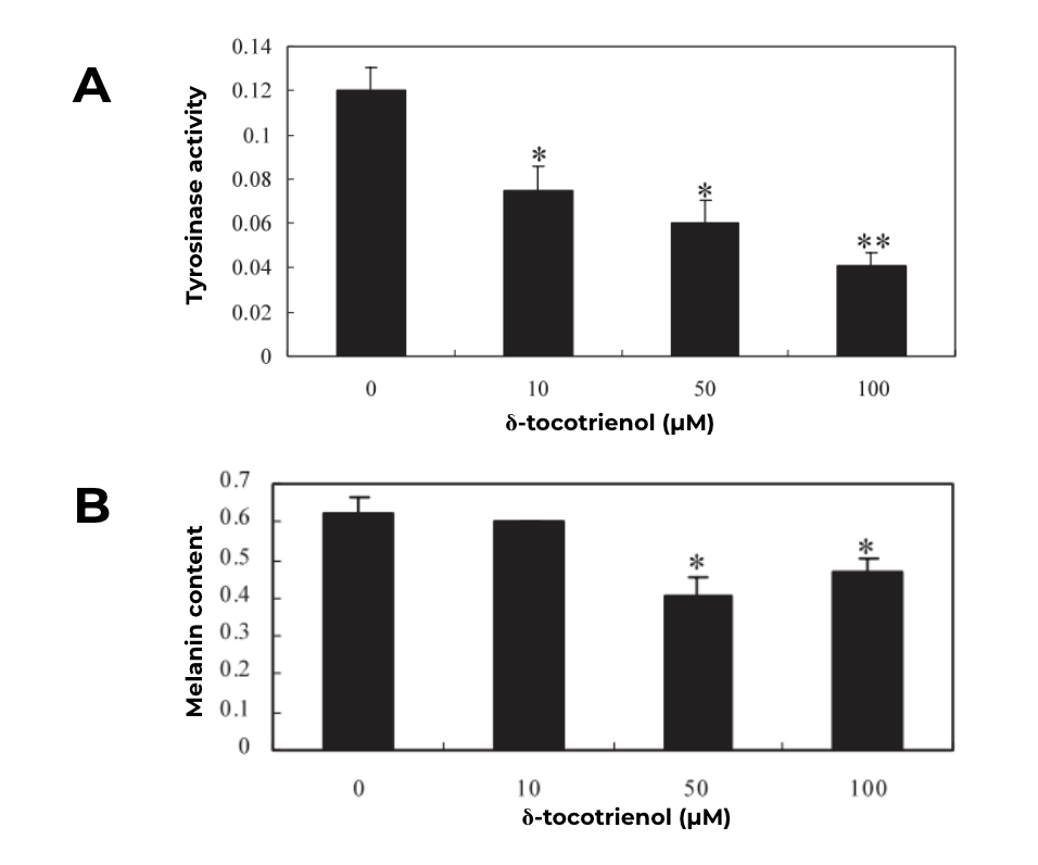 Teneur en mélanine (A) et activité de la tyrosinase (B) selon la concentration en δ-tocotriénol.