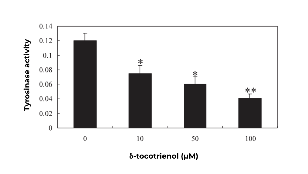 Activité de la tyrosinase dans des cellules de mélanome en fonction de la concentration en δ-tocotriénol.