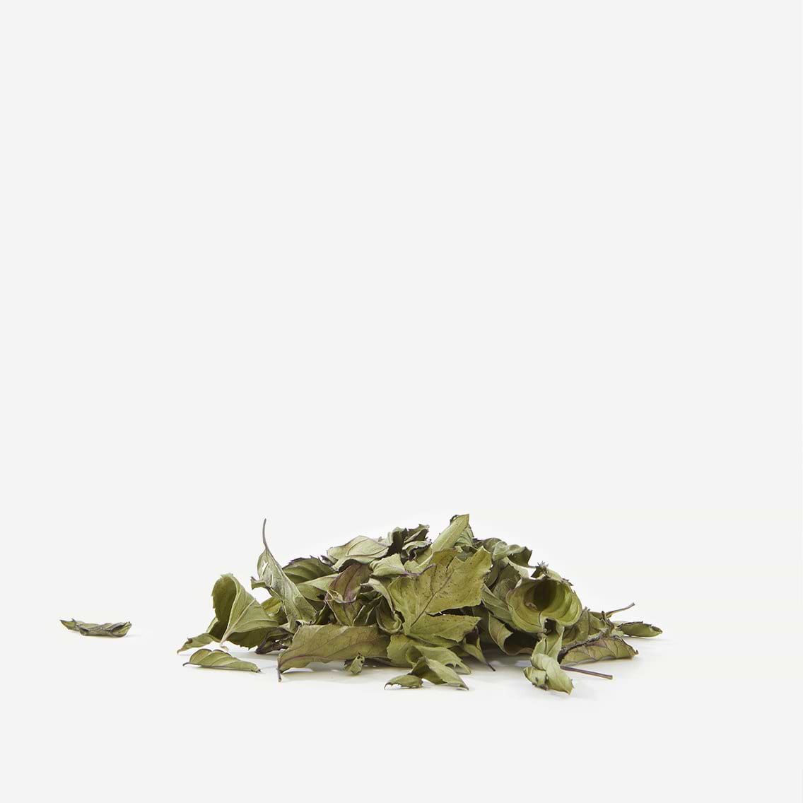 Différences entre menthe verte et menthe poivrée