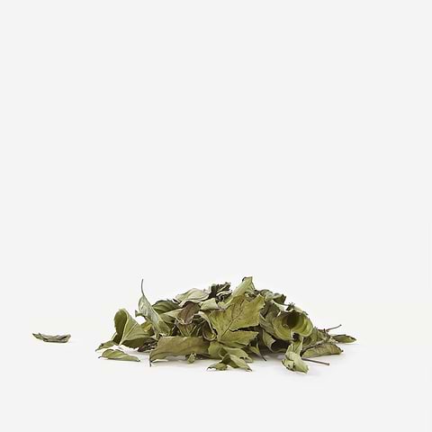Différences entre menthe verte et menthe poivrée