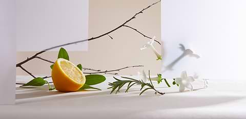 De quoi est composée une eau de parfum ?