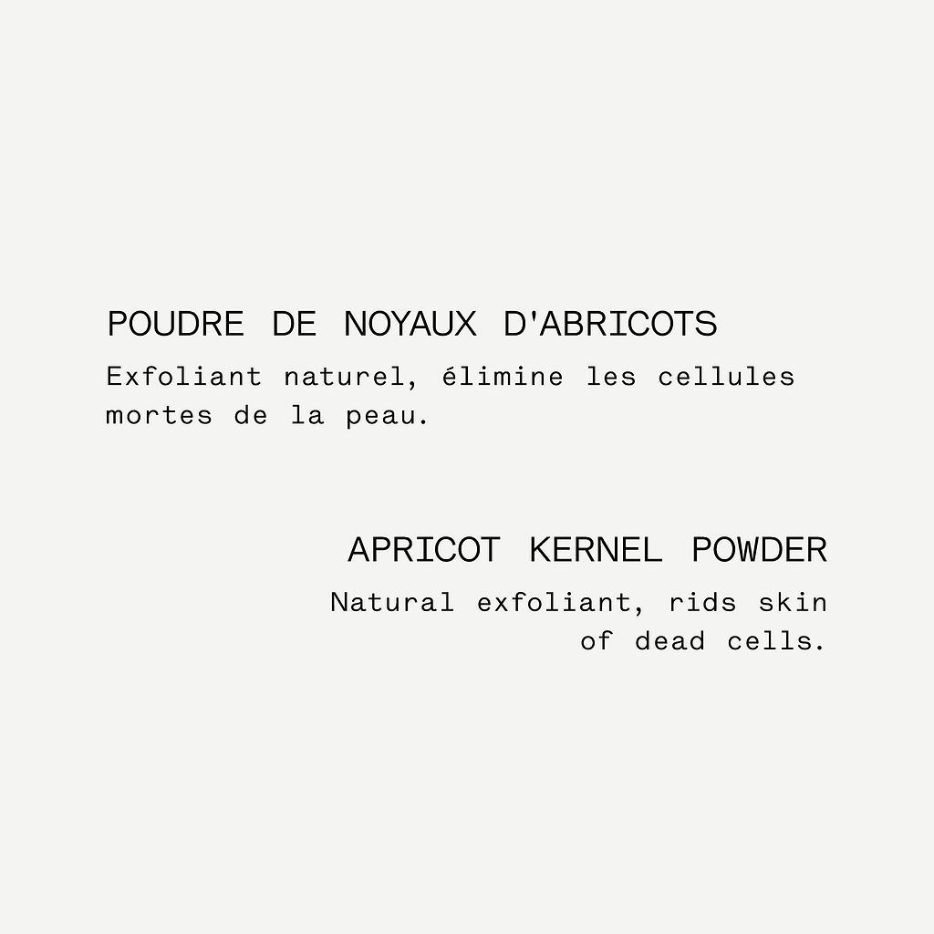 noyaux abricots