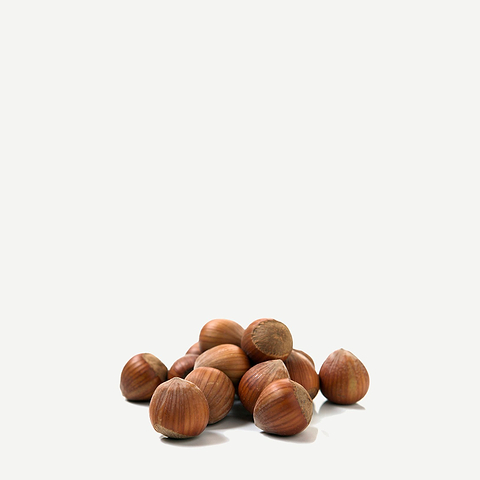 Comment est produite l'huile de noisette ?