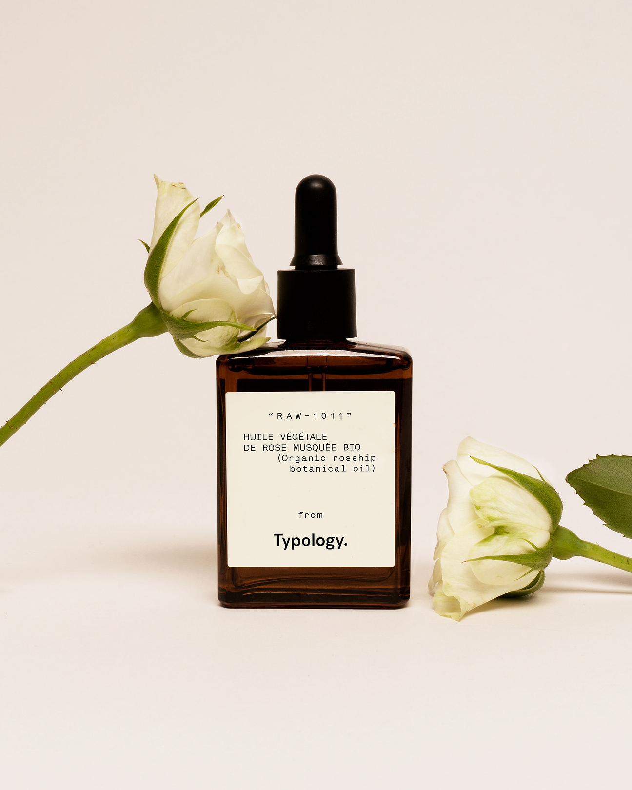 rose musquée mis en scène