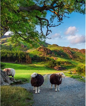 Idylliske England med Lake District & York