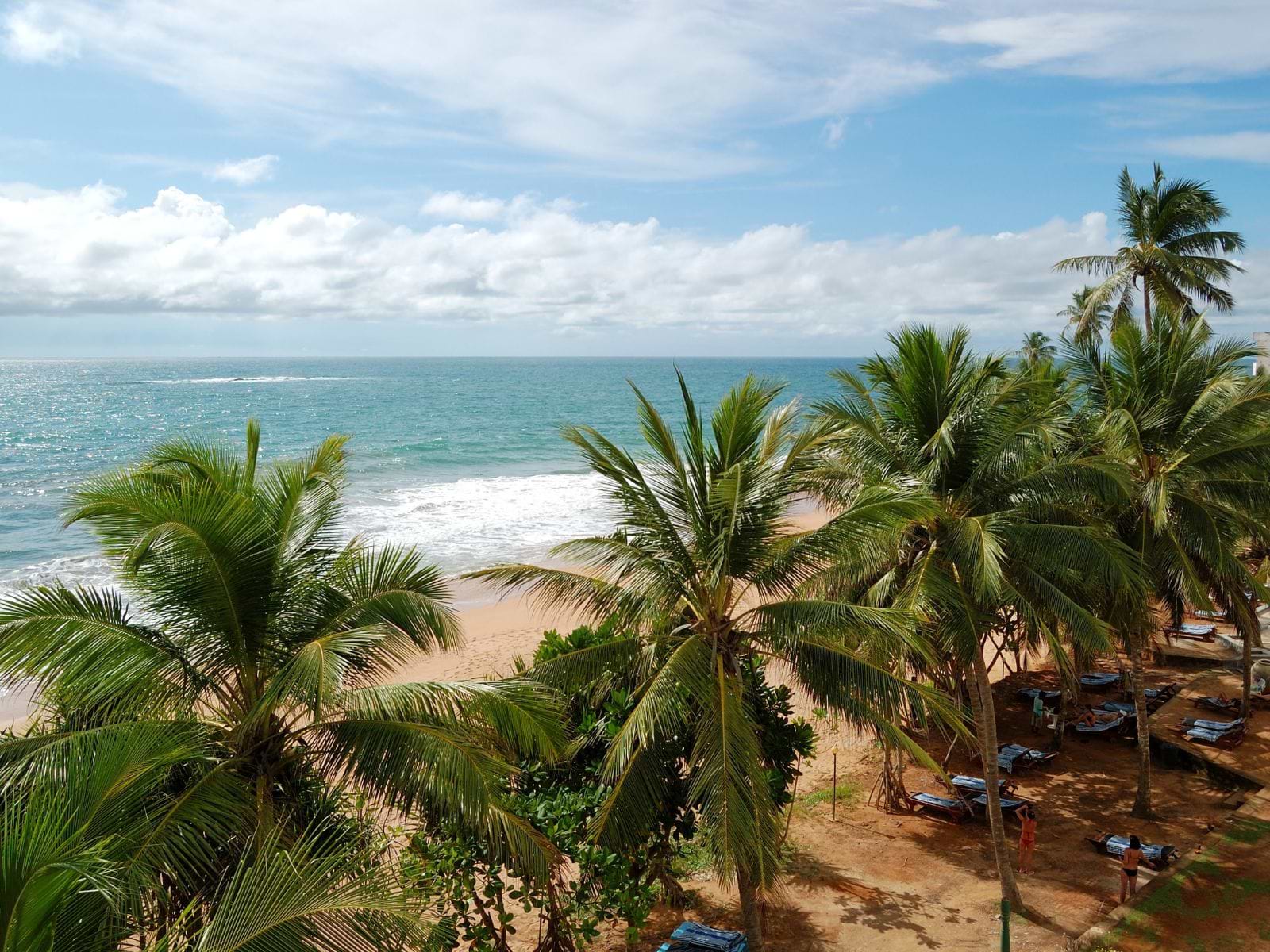 Palmeklædt tropestrand i Bentota med udsigt til Det Indiske Ocean, Sri Lanka