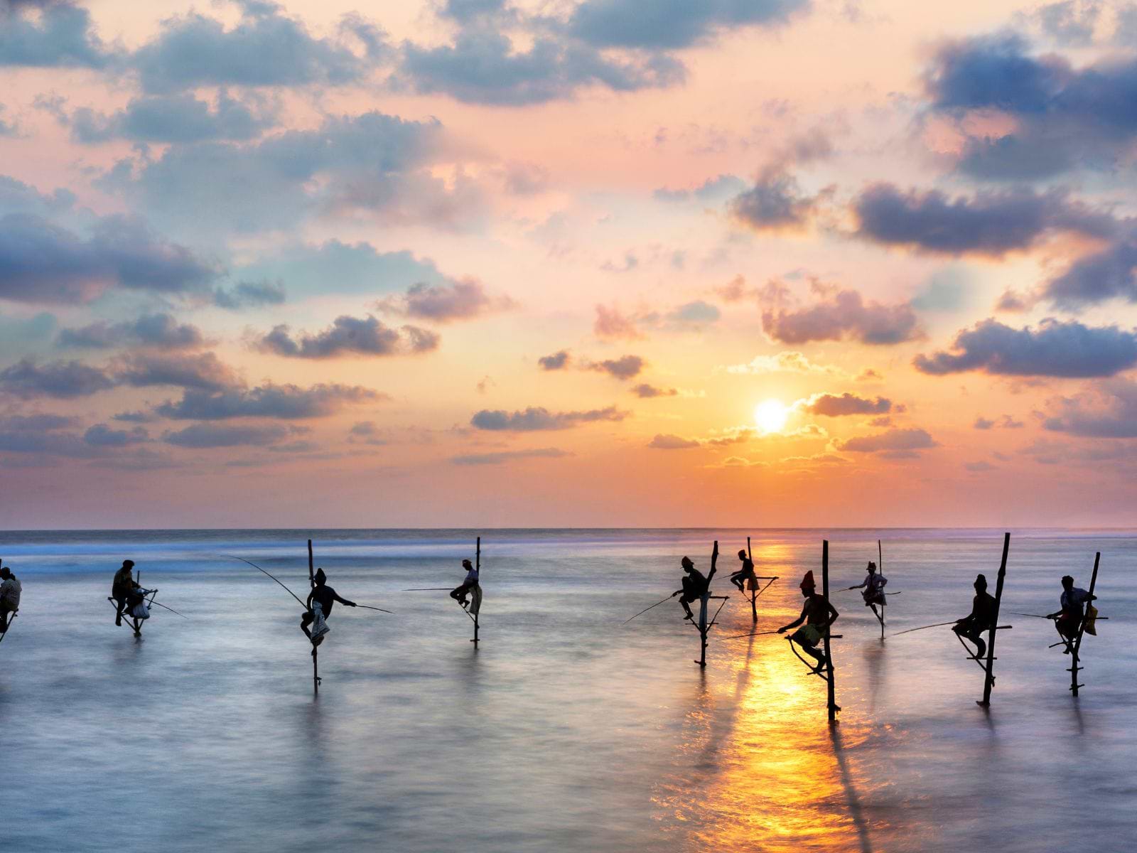 Traditionelt pælefiskeri i Sri Lanka