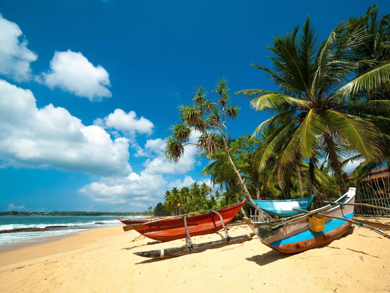 Tropestrand i Sri Lanka med fiskerbåde og palmer