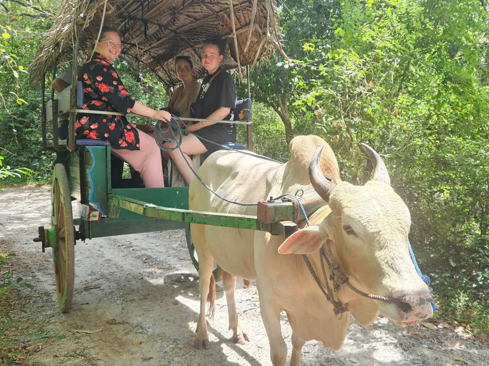 Tina, Stefanie og Sascha på traditionel oksekærre i Sri Lanka