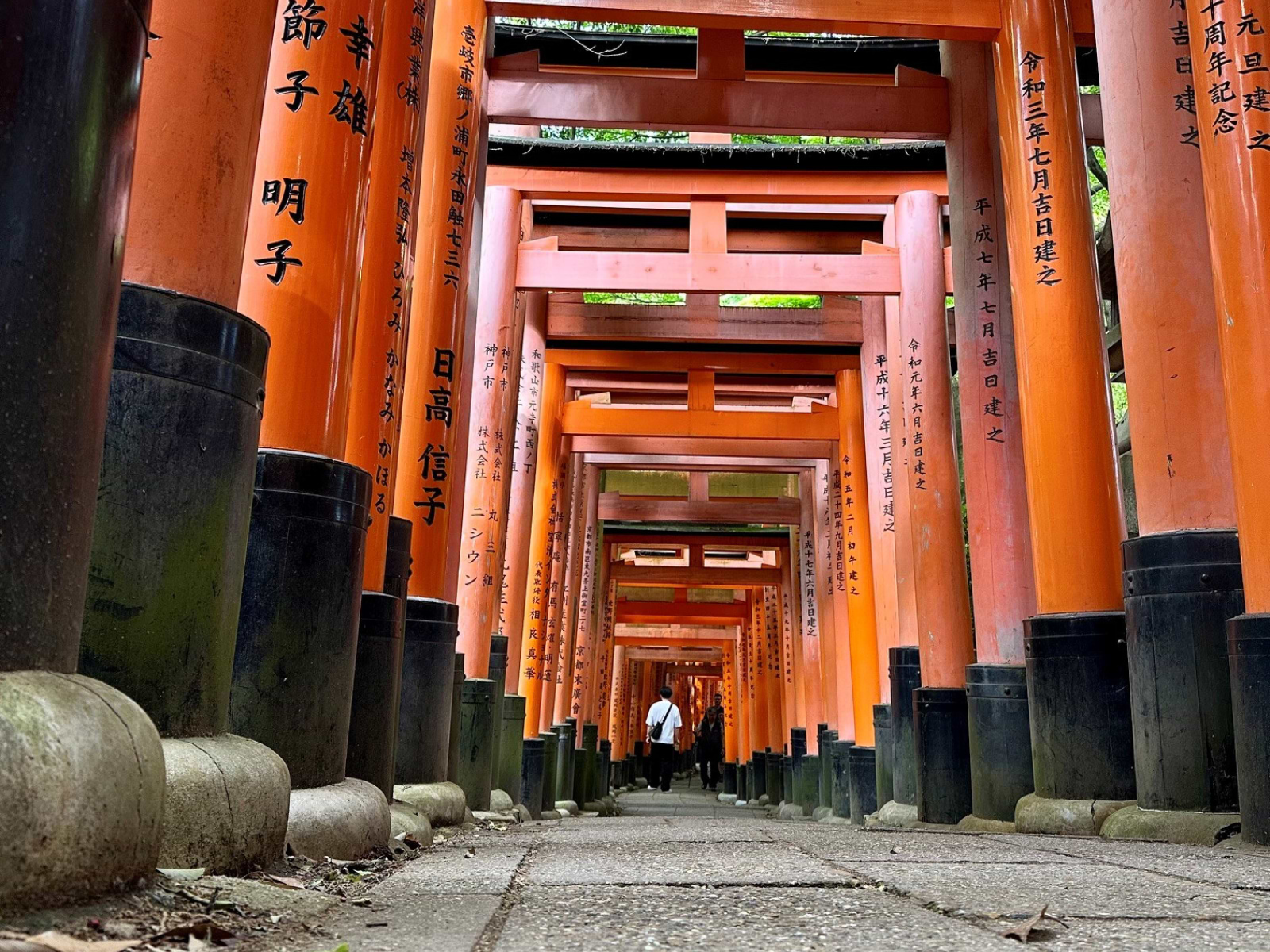 Postkort fra rejseekspert Susan i Japan