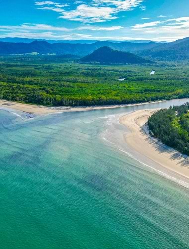 Daintree & Cape Tribulation – eventyr i regnskoven
