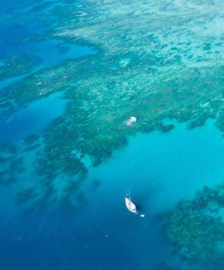 Luftfoto ned over Great Barrier Reef, Australien