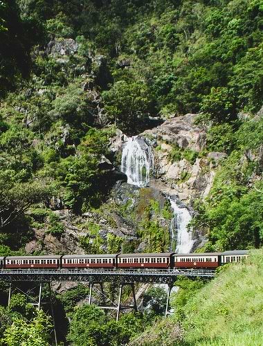 Heldagstur til Kuranda
