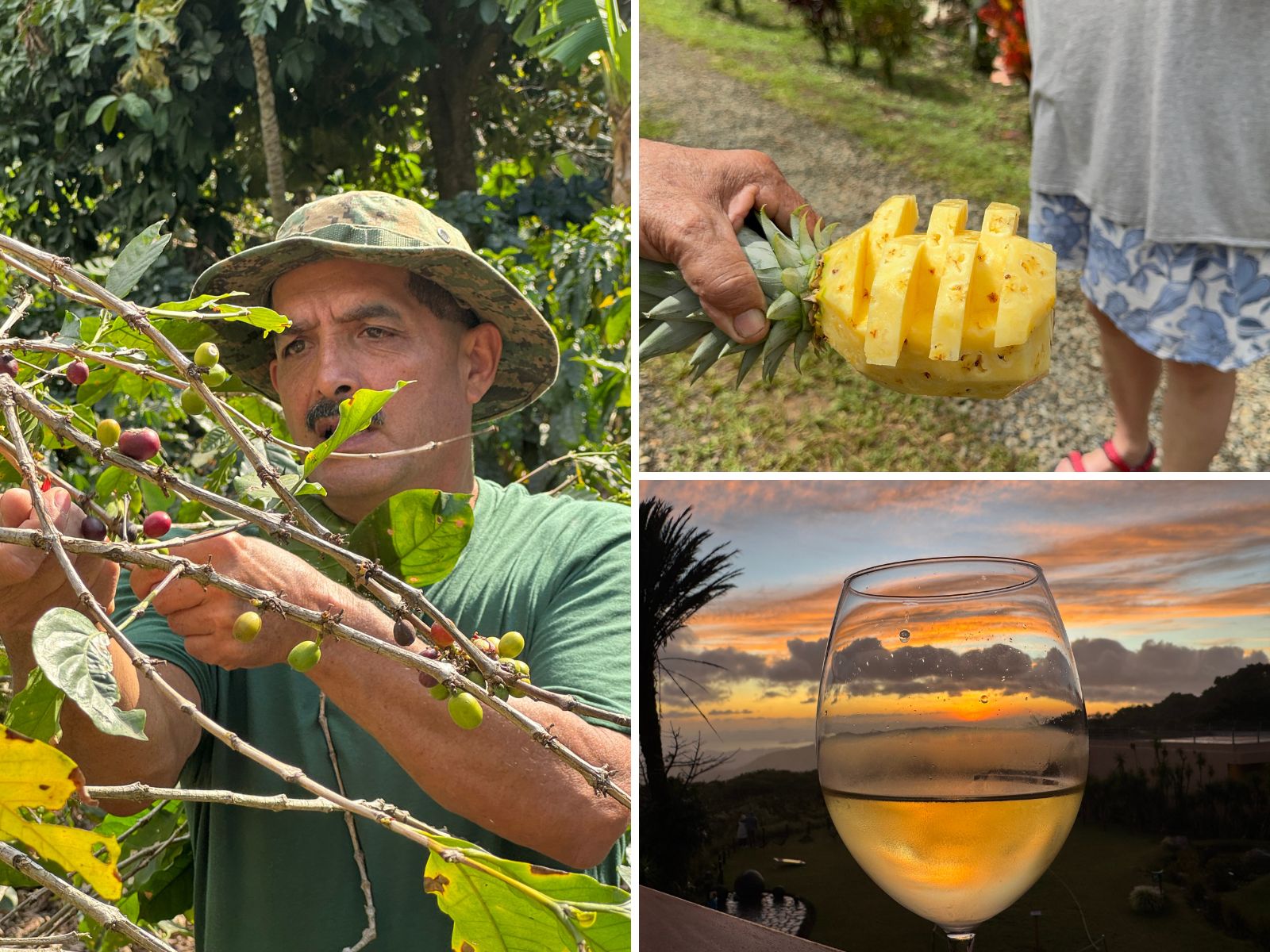 Collage med lokale costaricanere med frisk frugt samt et glas vin i solnedgangen, Costa Rica Collage med lokale costaricanere med frisk frugt samt et glas vin i solnedgangen, Costa Rica