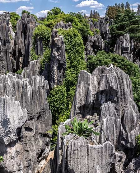 Udsigt over Stenskoven i Kunming, Kina Udsigt over Stenskoven i Kunming, Kina