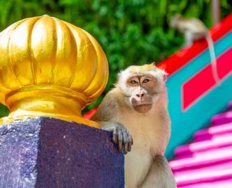 Abe ved trappe op til Batu Caves, Malaysia