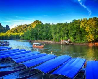 På sejltur i Langkawis mangrove, Malaysia