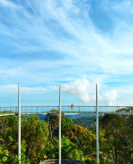 Udsigtsplatformen Curtis Crest Tree Top Walk i Penang Hills – med 360 graders udsigt over regnskovens trækroner og George Towns tage, Malaysia