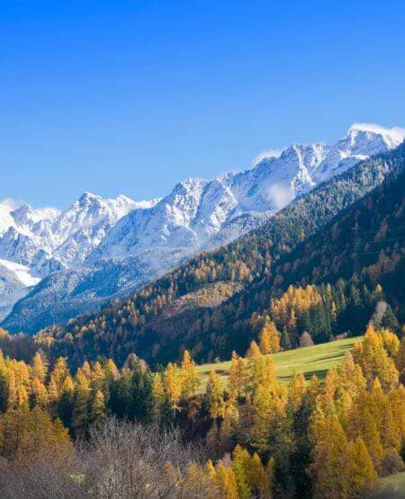 Vi vinker favel Alperne på vores togrejse i Schweiz Vi vinker favel Alperne på vores togrejse i Schweiz