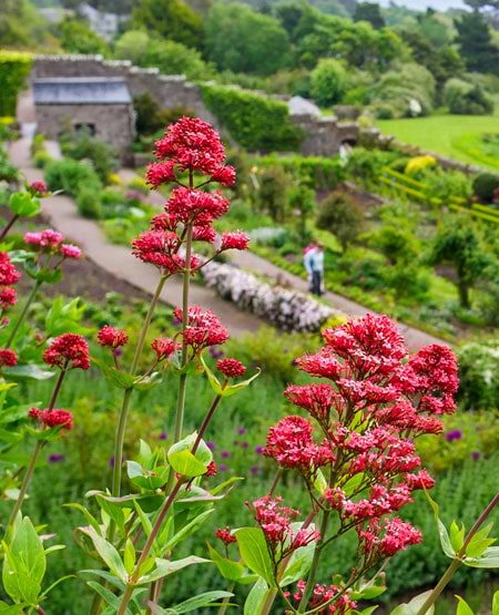 Besøg i Inverewe Gardens, Skotland