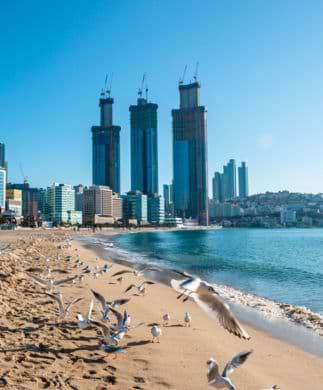 Haeundae-stranden i Sydkorea Haeundae-stranden i Sydkorea