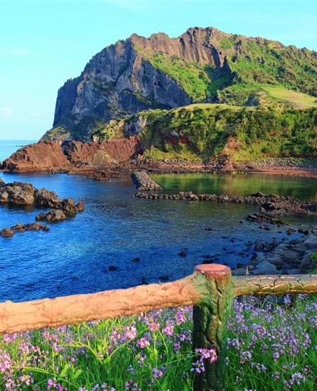 Flot og frodig natur på Jeju Island Flot og frodig natur på Jeju Island
