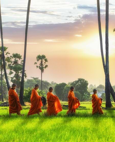 En række munke i traditionelle orangefarvede klæder går i procession gennem et grønt, frodigt landskab i Thailand