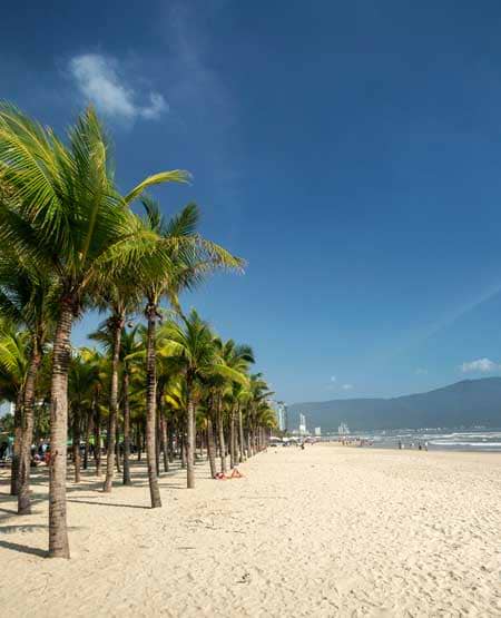 Palmestrand i Da Nang, Vietnam Palmestrand i Da Nang med skønne udsigter til den vietnamesiske natur