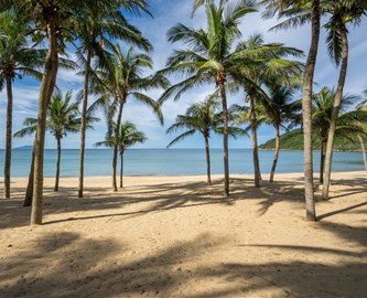 Palmer og hav ved paradisstranden Son Tra i Vietnam