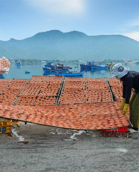 To personer tørrer fisk i solen, Vietnam