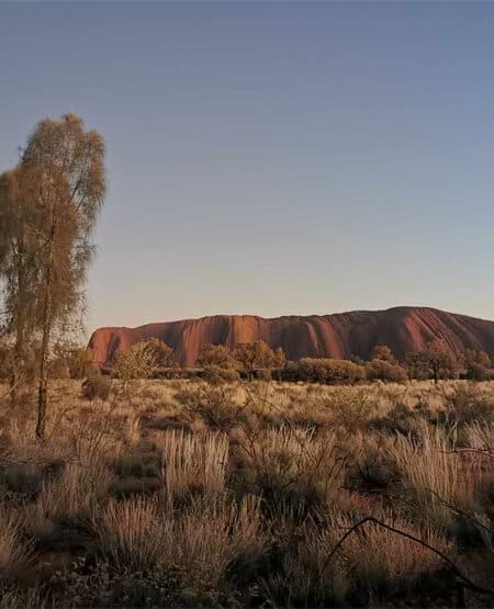 Uluru (Ayers Rock) lige før solnedgang Uluru (Ayers Rock) lige før solnedgang