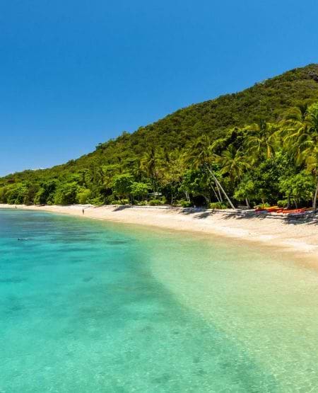 Stranden ved Fitzroy Island Resort, Australien