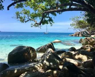 Strand med turkisblåt vand og klippesten set fra skyggefulde træer, Fitzroy Island