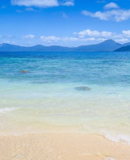 Strand på Fitzroy Island med turkisblåt vand og gyldent sand