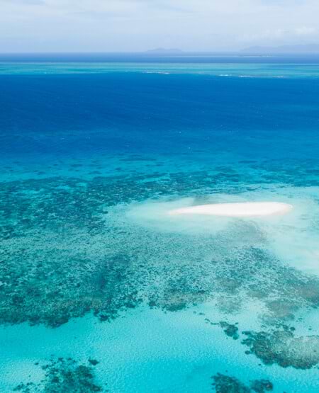 Great Barrier Reef, som kan opleves på en udlfugt fra Palm Cove Great Barrier Reef, som kan opleves på en udlfugt fra Palm Cove