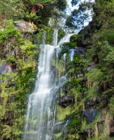 Erskine Falls i Otway Ranges, som kan opleves langs Great Ocean Road