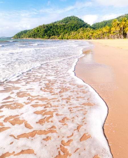 Strandmotiv fra Palm Cove, Australien Strandmotiv fra Palm Cove, Australien