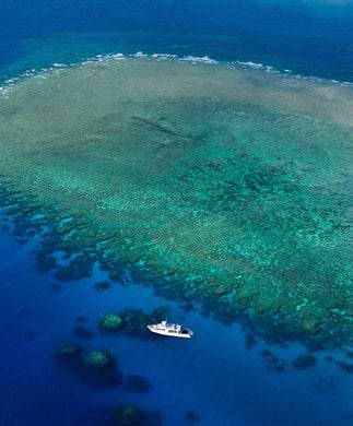 Snorkeltur i båd ved Townsville, Australien